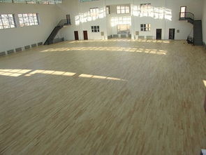 甲級運動木地板 暢森